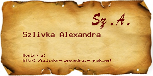 Szlivka Alexandra névjegykártya